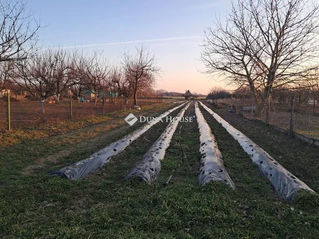 Eladó telek Szolnok, Alcsisziget utca 2147 nm