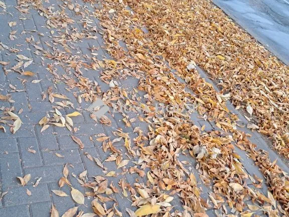 Eladó ház Szajol, Napsugár út 100 nm