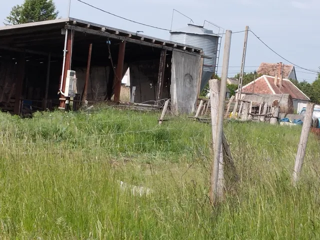 Eladó mezőgazdasági ingatlan Bana 1800 nm