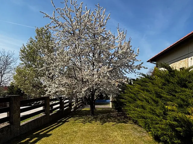 Eladó ház Telki, f 310 nm