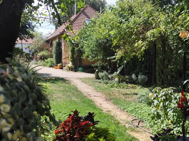 Eladó ház Mihályi, k 65 nm