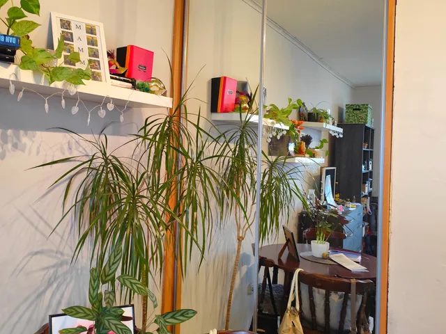 Eladó lakás Győr, Gyárváros 43 nm