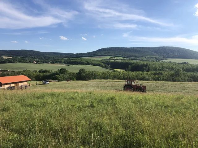 Eladó telek Bakonyszentkirály 23000 nm