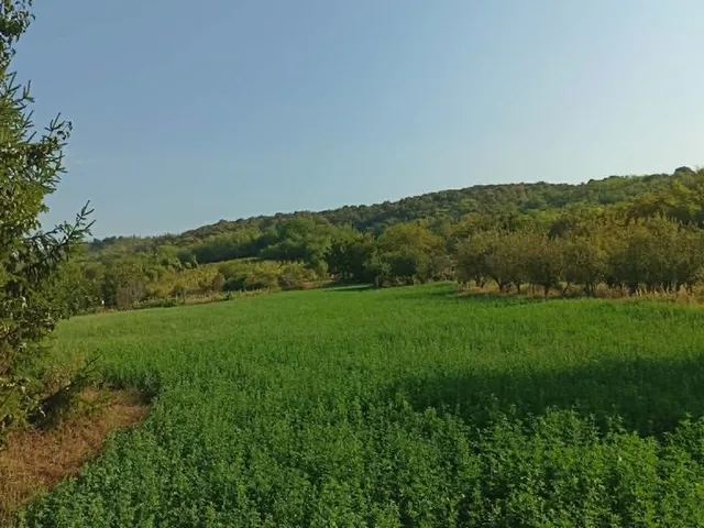 Eladó telek Kajárpéc, t 3272 nm