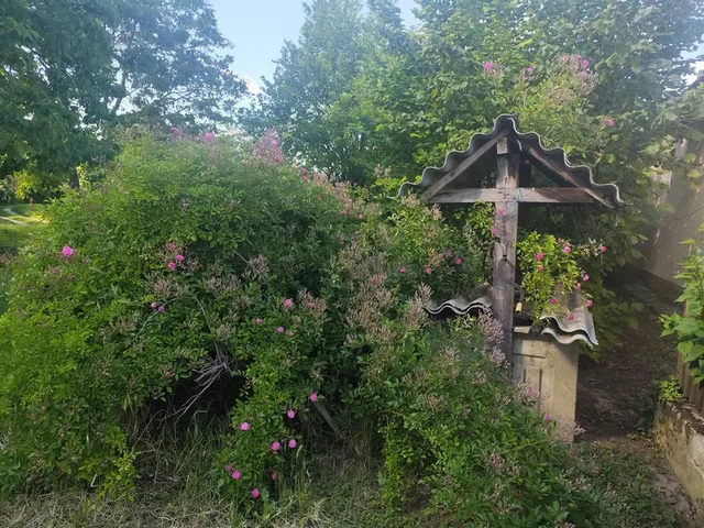 Eladó telek Kajárpéc, t 3272 nm