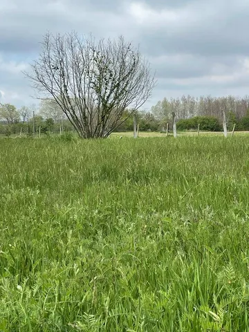 Eladó telek Győrszemere 800 nm