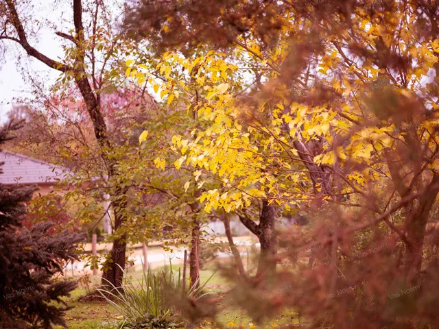 Eladó lakás Márokföld 140 nm