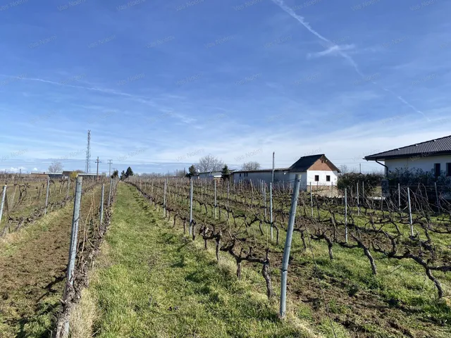 Eladó telek Balatonboglár 2000 nm