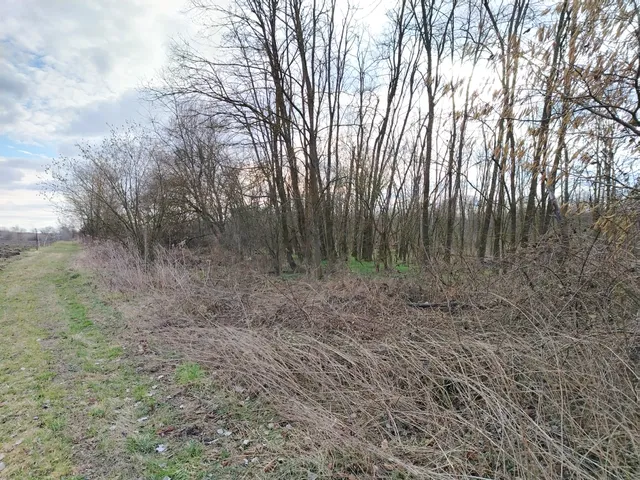 Eladó telek Kisasszond, Kossuth 6710 nm