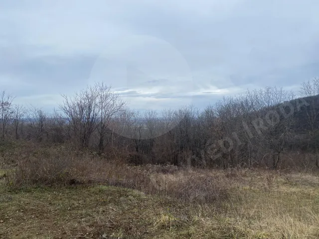 Eladó mezőgazdasági ingatlan Szekszárd 170444 nm