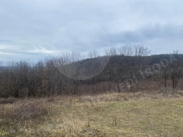 Eladó mezőgazdasági ingatlan Szekszárd, külterület 170444 nm