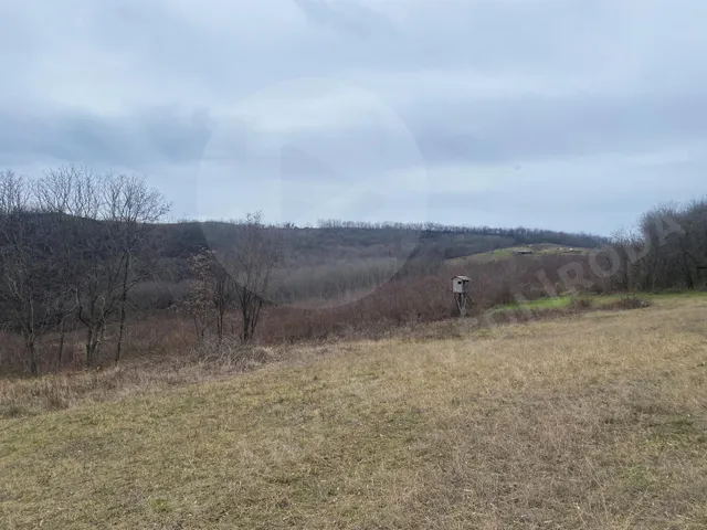 Eladó mezőgazdasági ingatlan Szekszárd, külterület 170444 nm