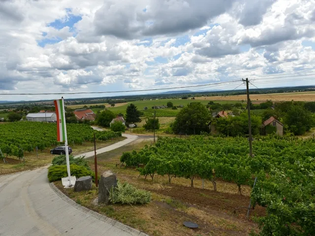 Eladó telek Somlójenő 1723 nm
