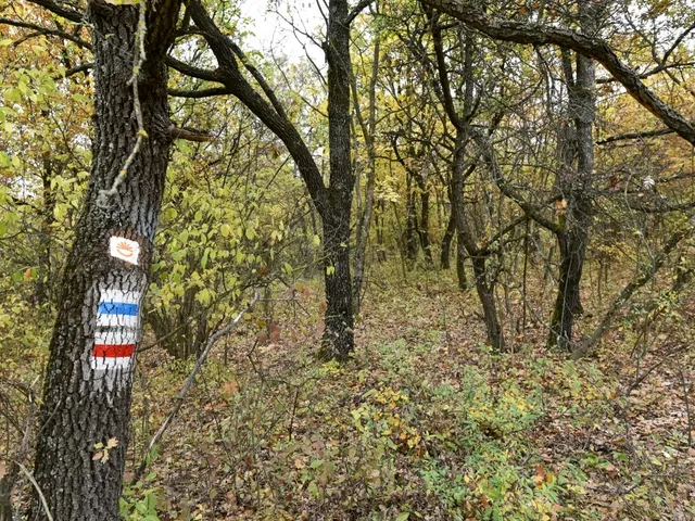 Eladó telek Pécsely 25515 nm