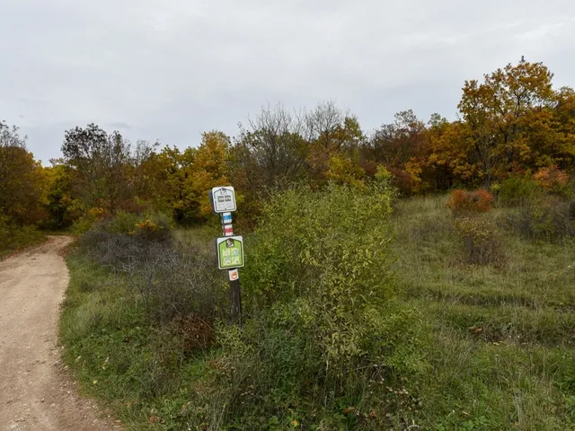 Eladó telek Pécsely 25515 nm