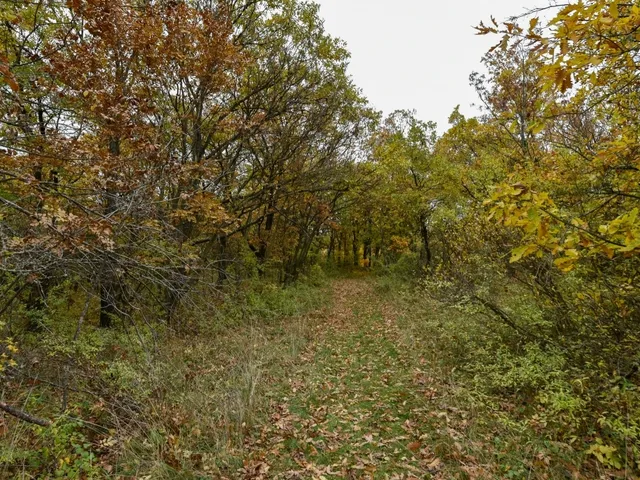 Eladó telek Pécsely 25515 nm