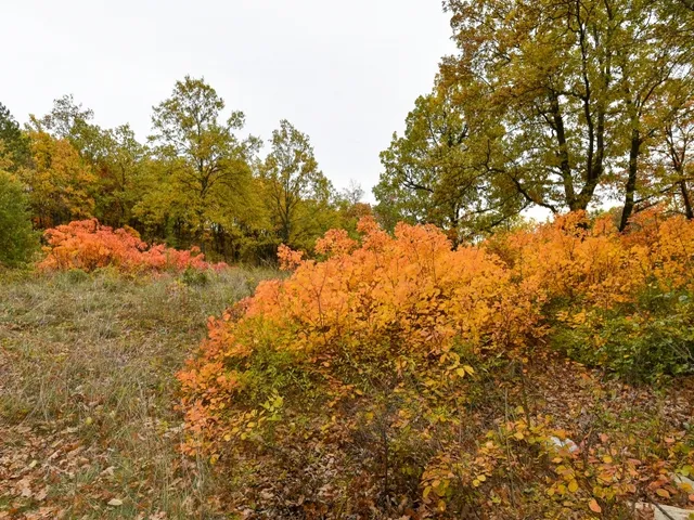 Eladó telek Pécsely 25515 nm