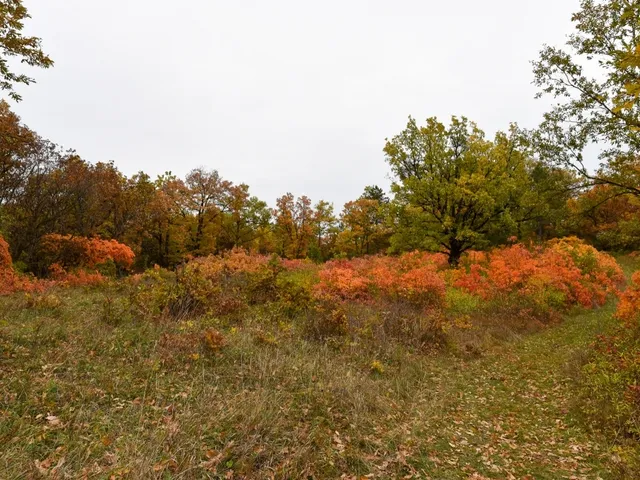 Eladó telek Pécsely 25515 nm