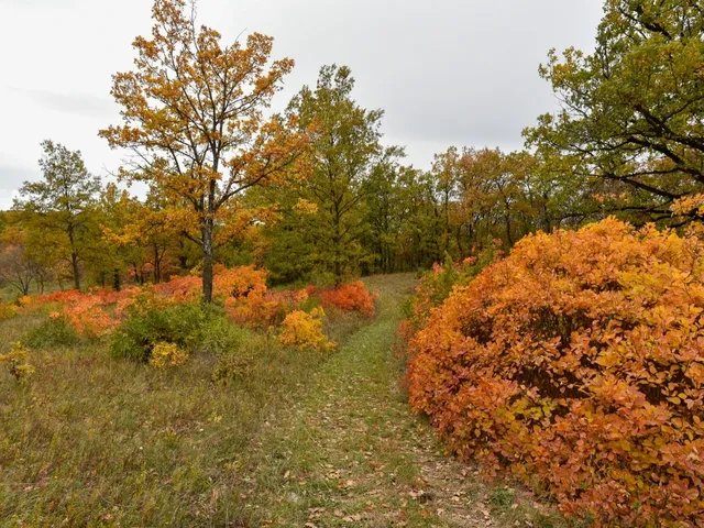 Eladó telek Pécsely 25515 nm
