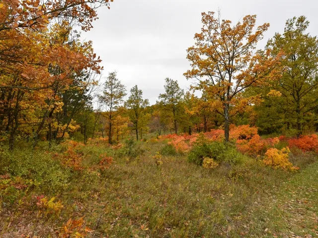 Eladó telek Pécsely 25515 nm