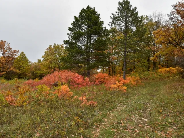 Eladó telek Pécsely 25515 nm