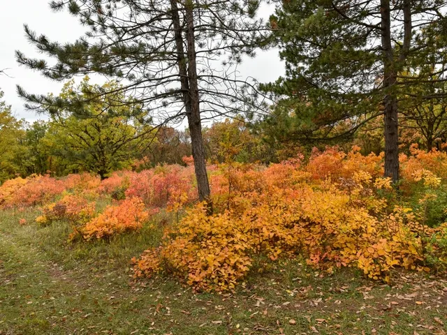 Eladó telek Pécsely 25515 nm