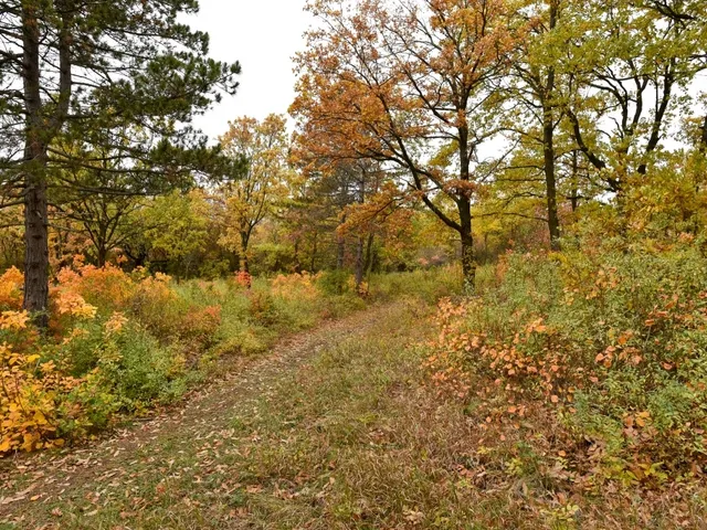 Eladó telek Pécsely 25515 nm