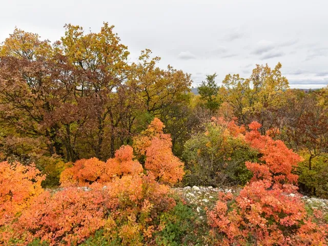 Eladó telek Pécsely 25515 nm