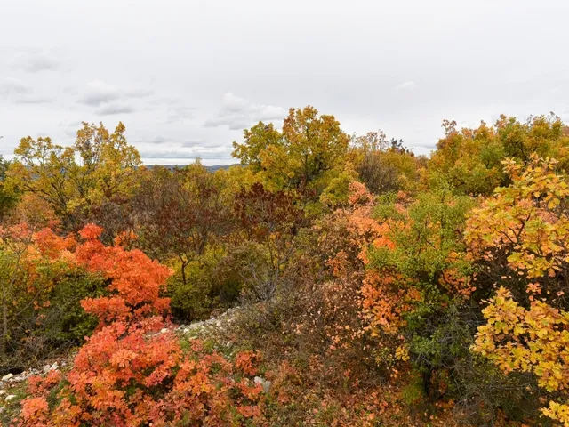 Eladó telek Pécsely 25515 nm