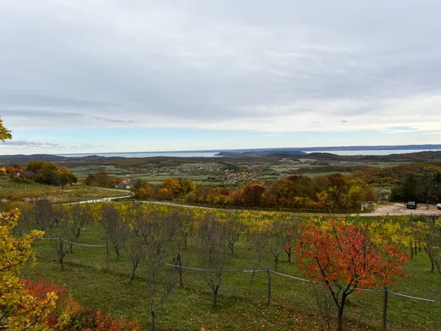 Eladó telek Pécsely 25515 nm