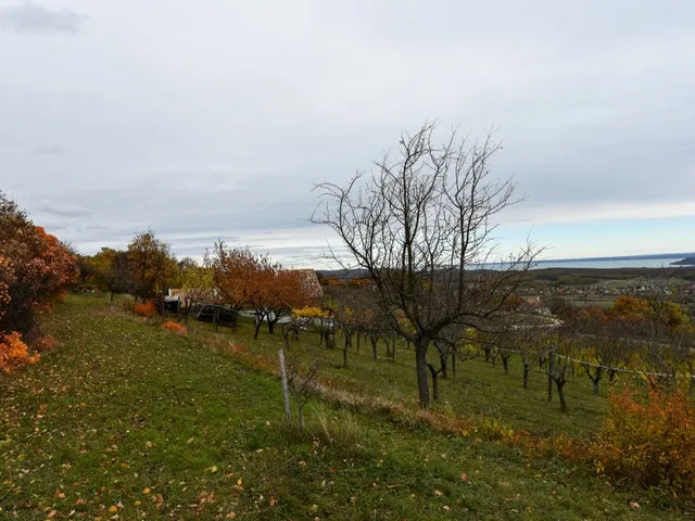 Eladó telek Pécsely 25515 nm
