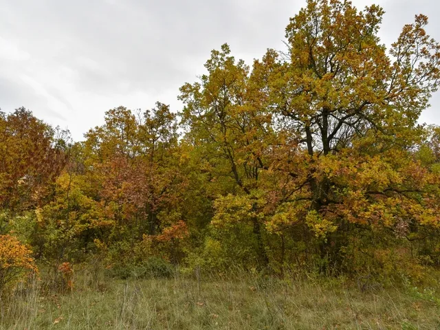 Eladó telek Pécsely 25141 nm