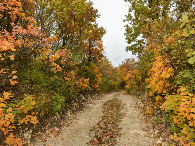 Eladó telek Pécsely 25141 nm