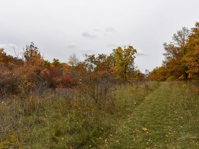 Eladó telek Pécsely 25141 nm