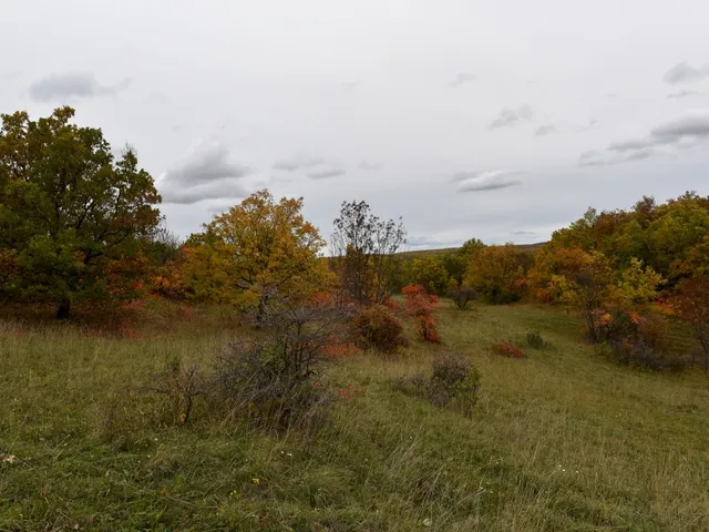 Eladó telek Pécsely 25141 nm