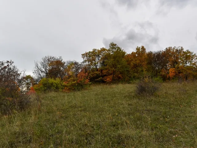 Eladó telek Pécsely 25141 nm