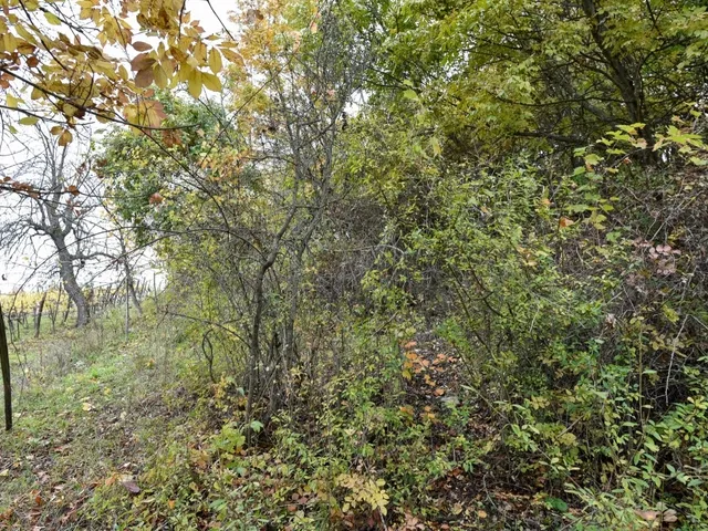 Eladó telek Pécsely 25141 nm