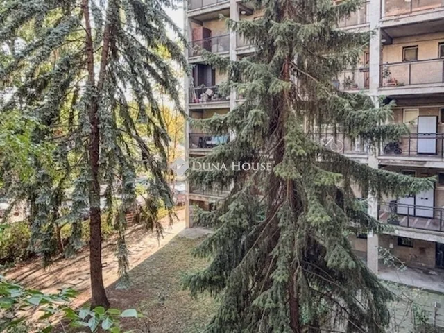Eladó lakás Budapest XIV. kerület 61 nm