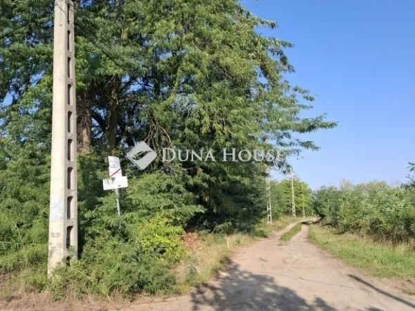 Eladó telek Őrbottyán 1137 nm