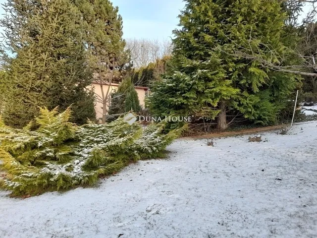 Eladó ház Veresegyház 300 nm