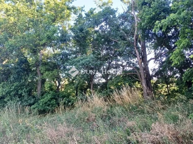 Eladó telek Fót 22155 nm