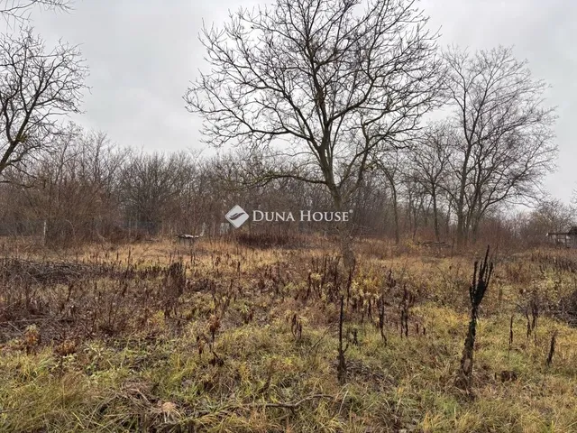 Eladó telek Őrbottyán 725 nm