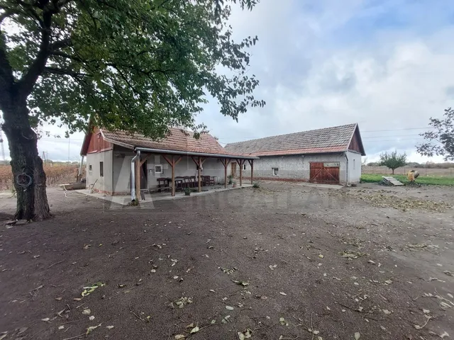 Eladó mezőgazdasági ingatlan Röszke 1 nm