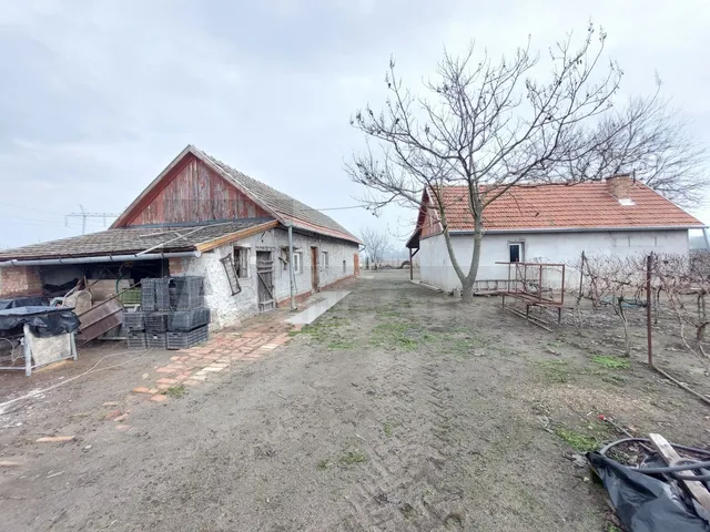 Eladó mezőgazdasági ingatlan Röszke 1 nm