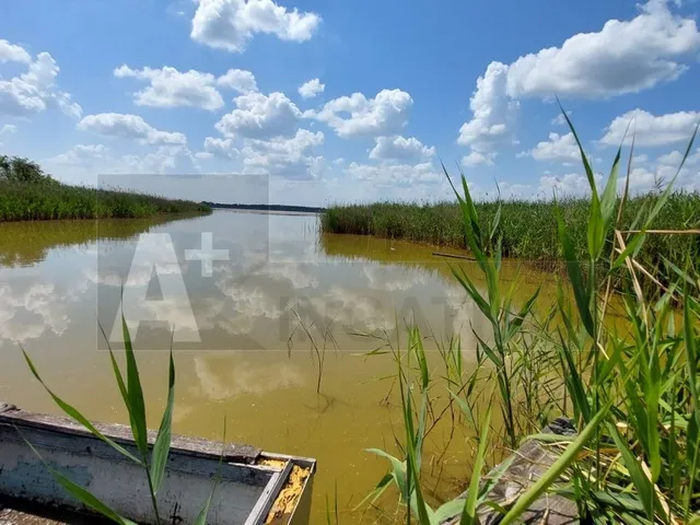 Eladó mezőgazdasági ingatlan Balástya 57740 nm