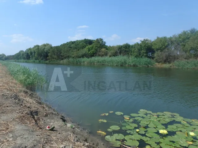 Eladó mezőgazdasági ingatlan Szeged, Tompasziget 850 nm