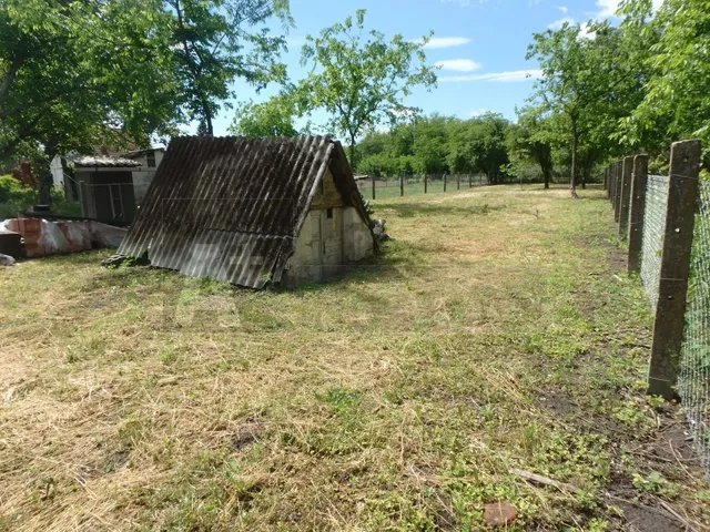 Eladó mezőgazdasági ingatlan Szatymaz 634 nm