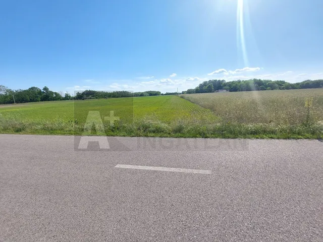 Eladó mezőgazdasági ingatlan Kistelek 3 nm