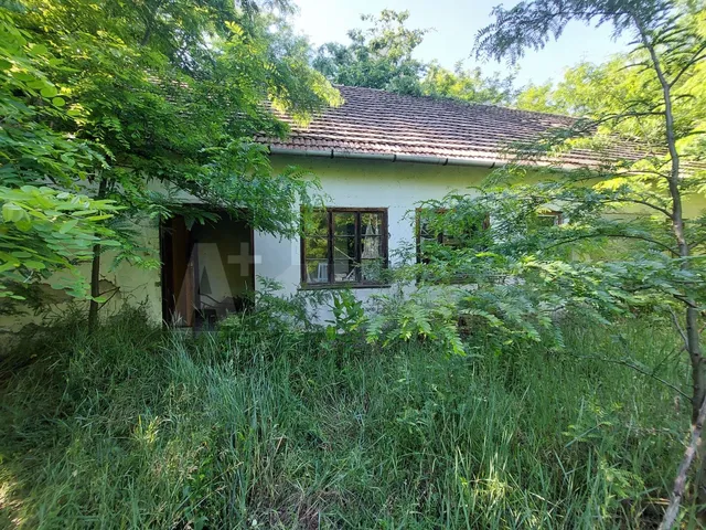 Eladó mezőgazdasági ingatlan Kistelek 44239 nm