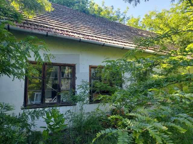 Eladó mezőgazdasági ingatlan Kistelek 44239 nm